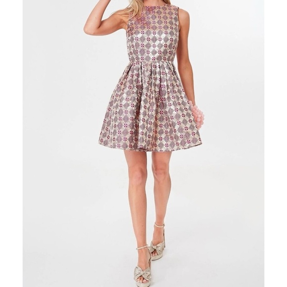 Tuckernuck Dresses & Skirts - Tuckernuck Champagne Dreams Essie brocade Elegant Sleeveless Dress NEW